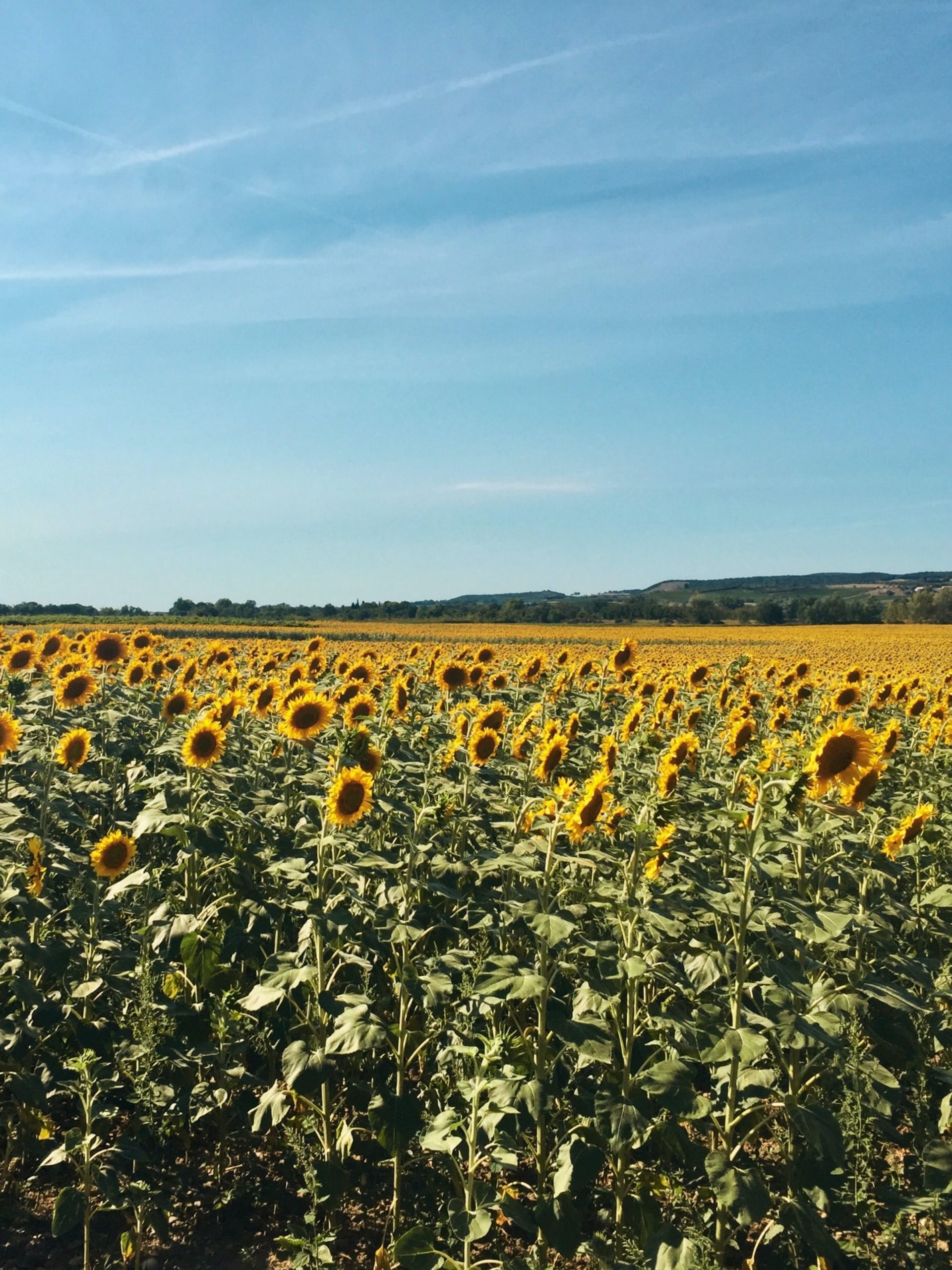 Ardeche